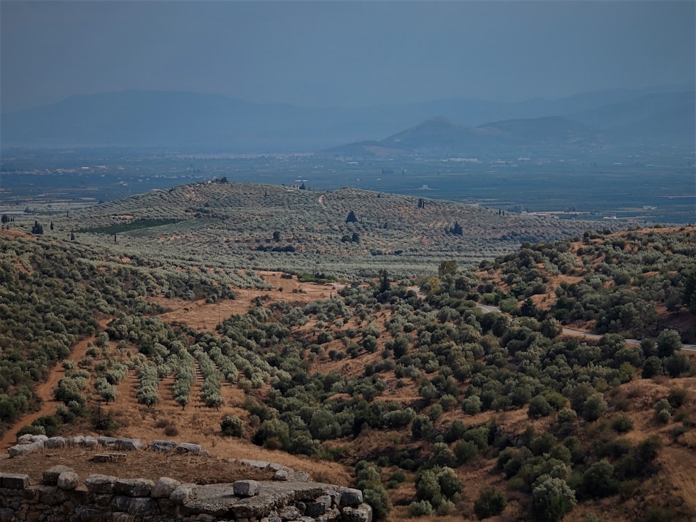 green and brown trees and mountains during daytime