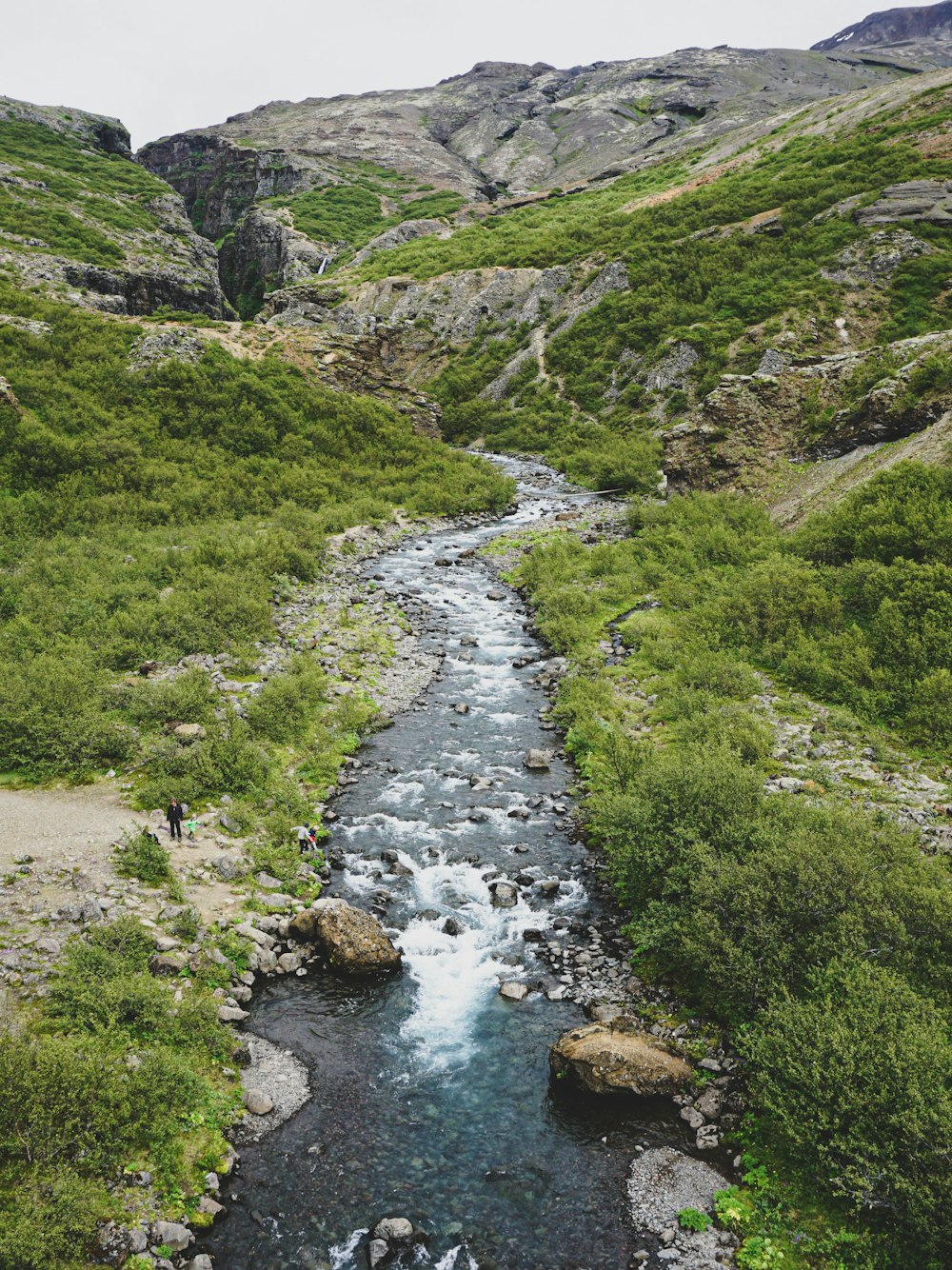 green grass field and river