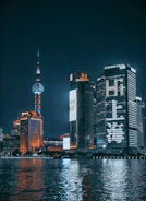 city skyline during night time