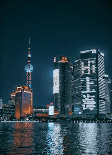 city skyline during night time