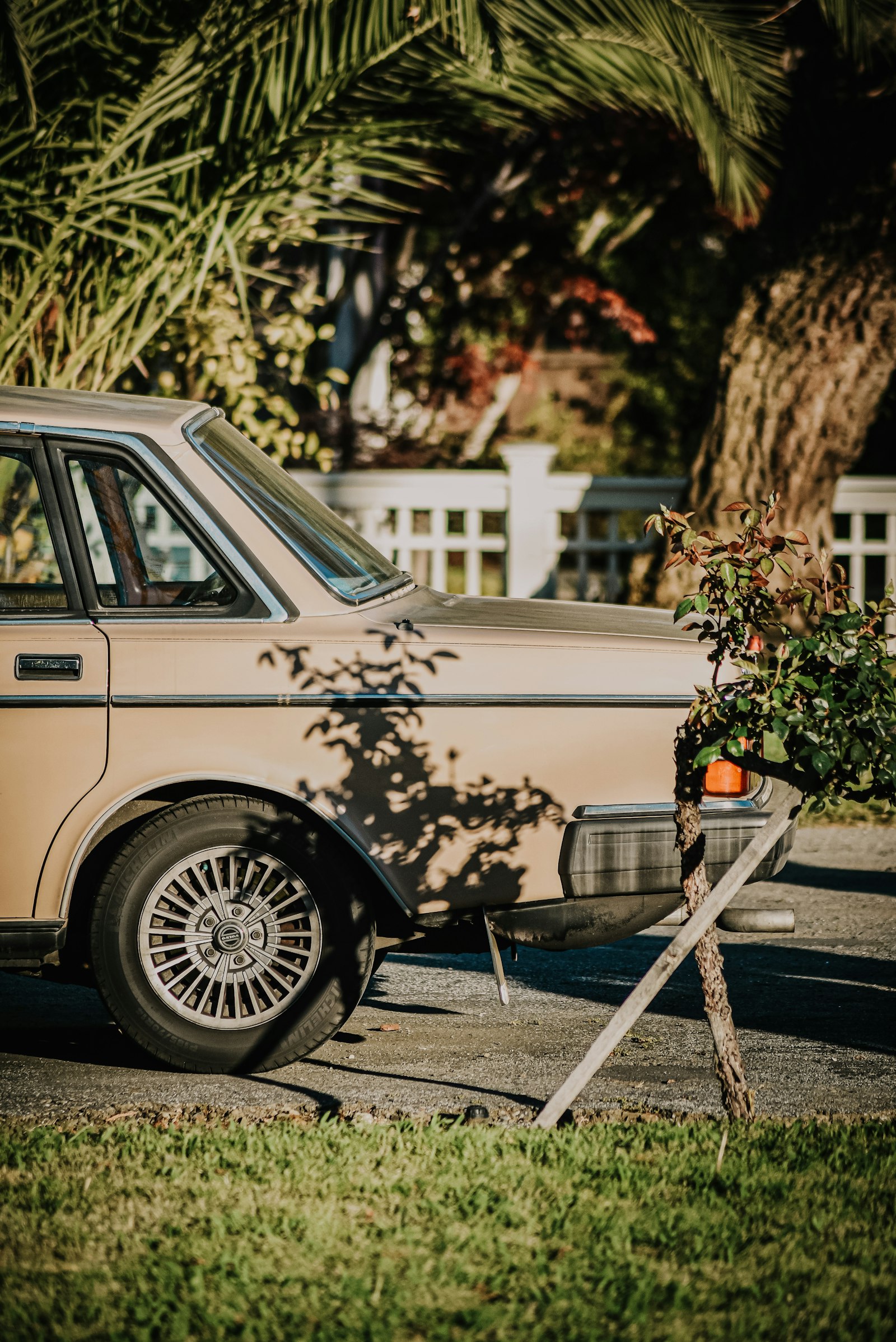 Nikon D750 + Sigma 50-150mm F2.8 EX APO DC HSM II + 1.4x sample photo. White and black car photography