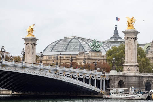 white and brown concrete building under white sky during daytime in Grand Palais France