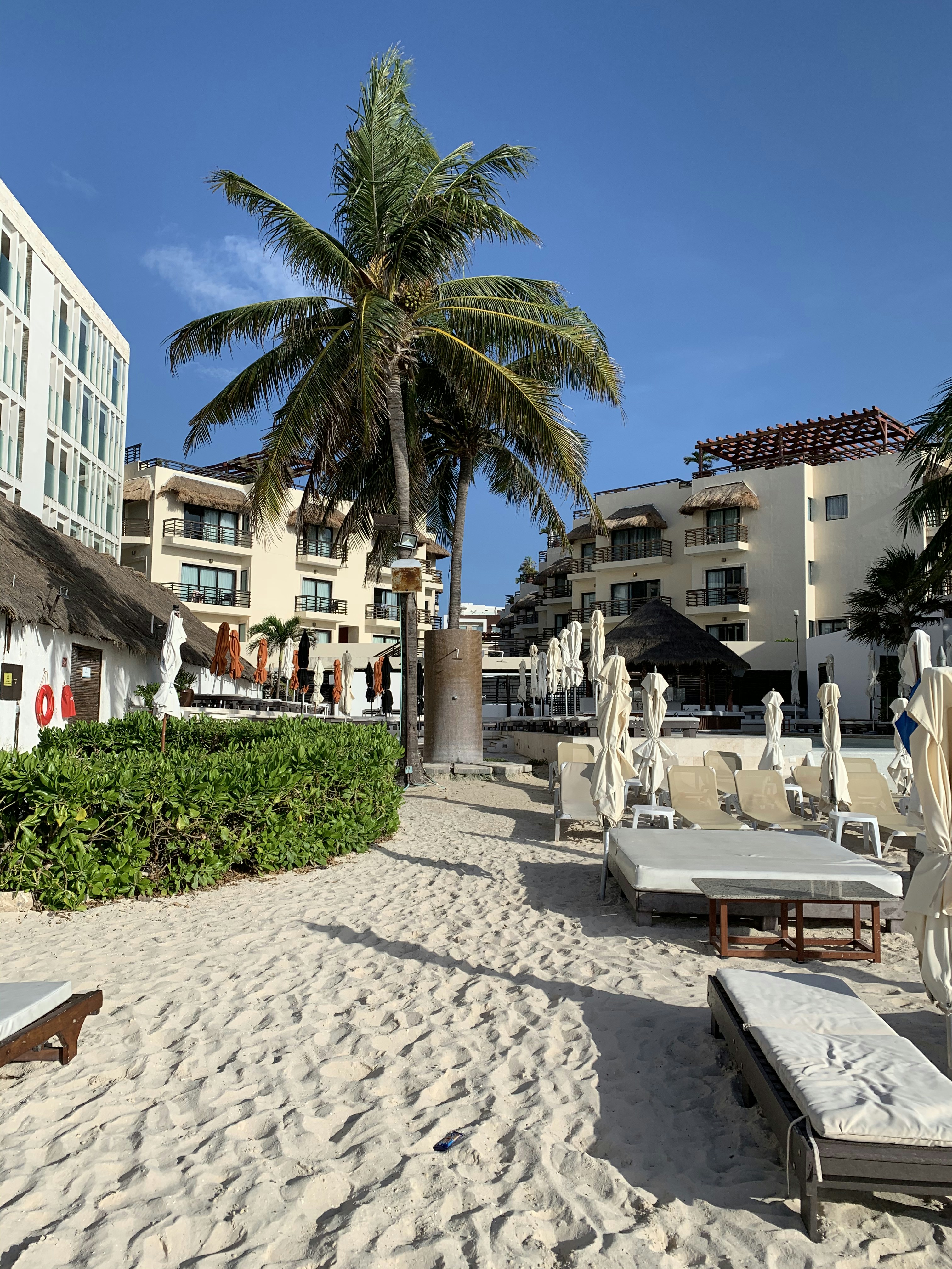 Photo by soothingtropicalwinds