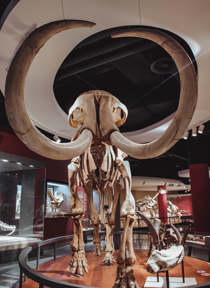 Shanghai Natural History Museum