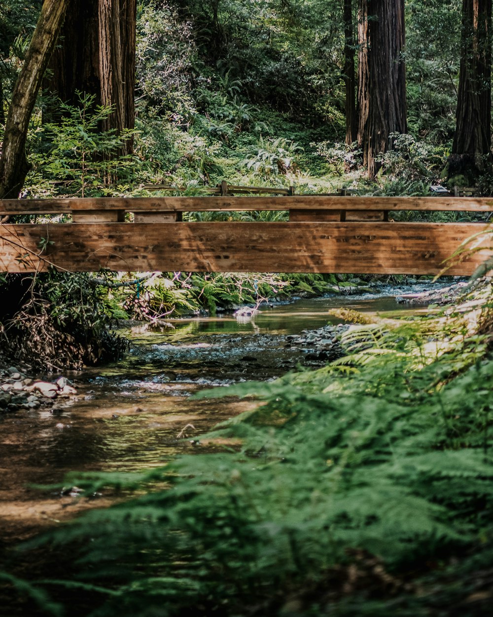 brown wooden bridge over river