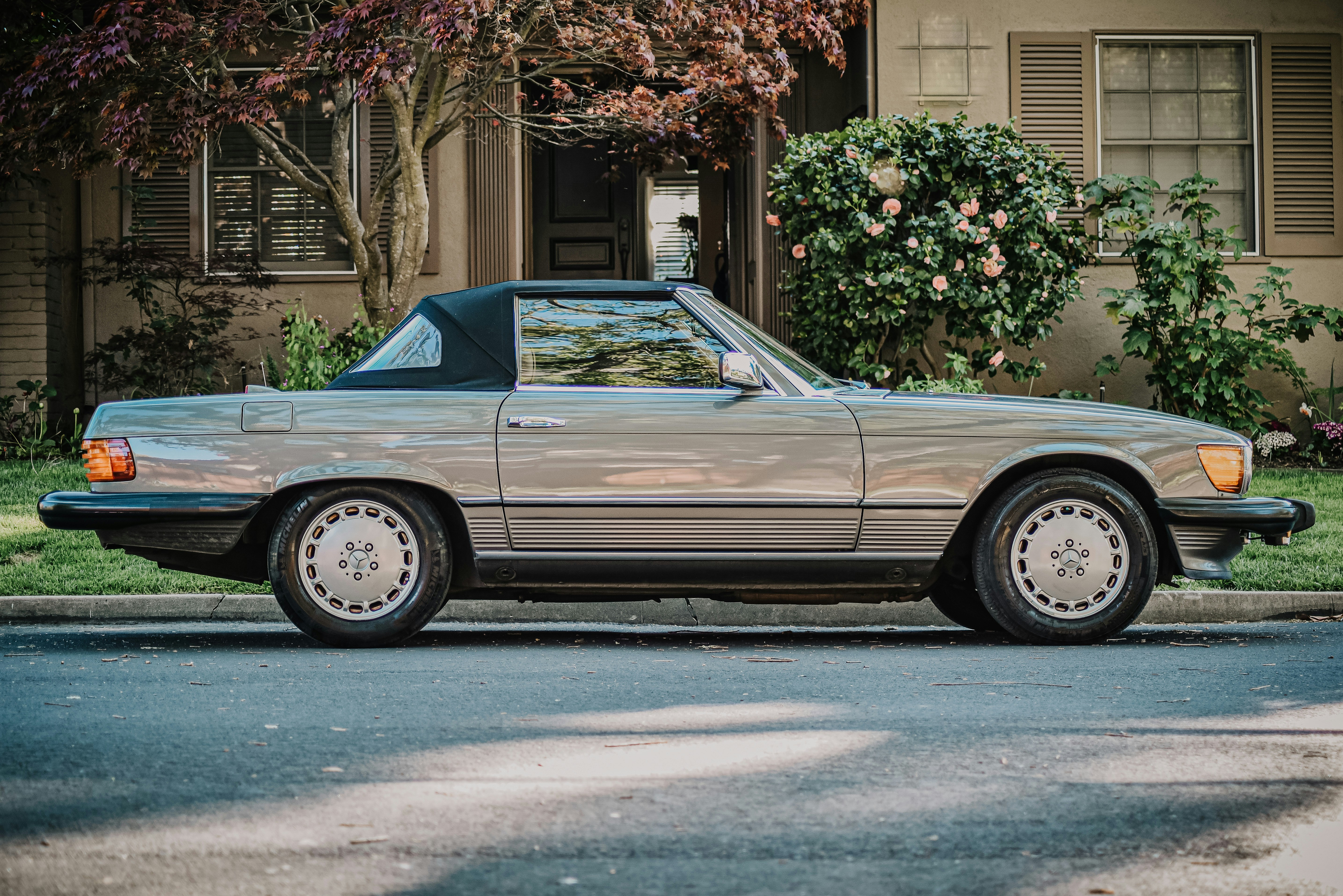 Photo by framesforyourheart