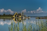Heavy machinery carefully reshaping a wetland area surrounded by tall grasses.
