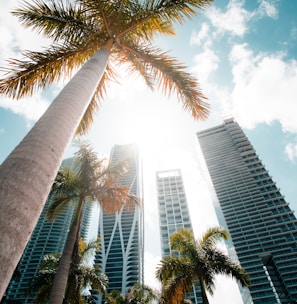 low angle photography of high rise building