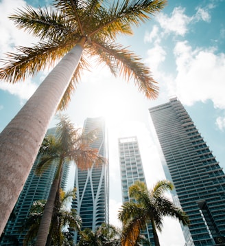 low angle photography of high rise building