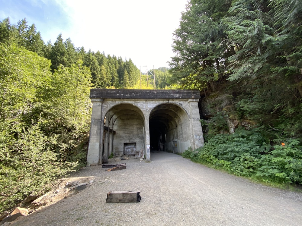 green trees and gray concrete bridge