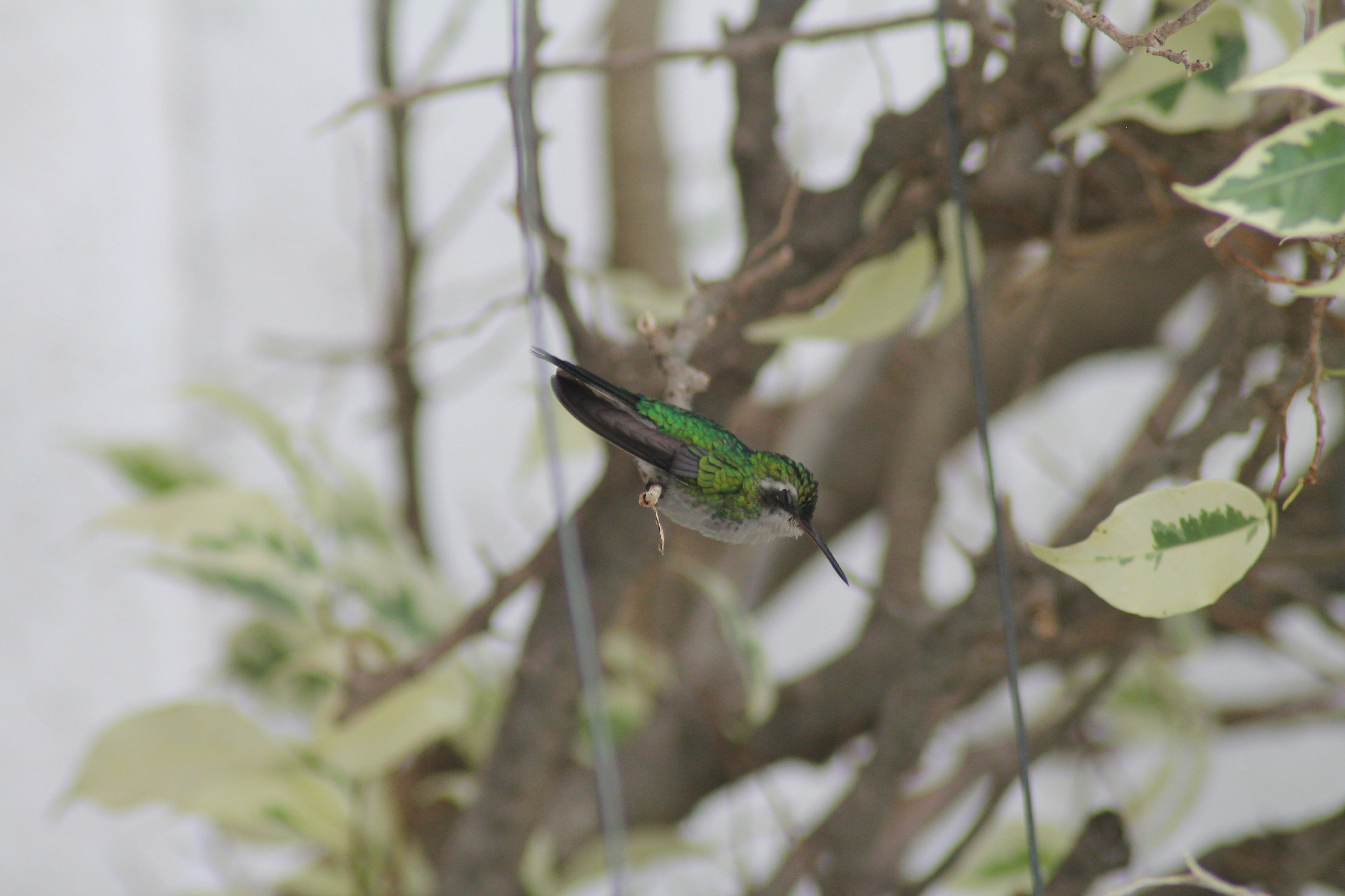 Photo by alexphotographers