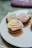 A colorful assortment of vanilla cupcakes with pastel frosting arranged on a rustic wooden table