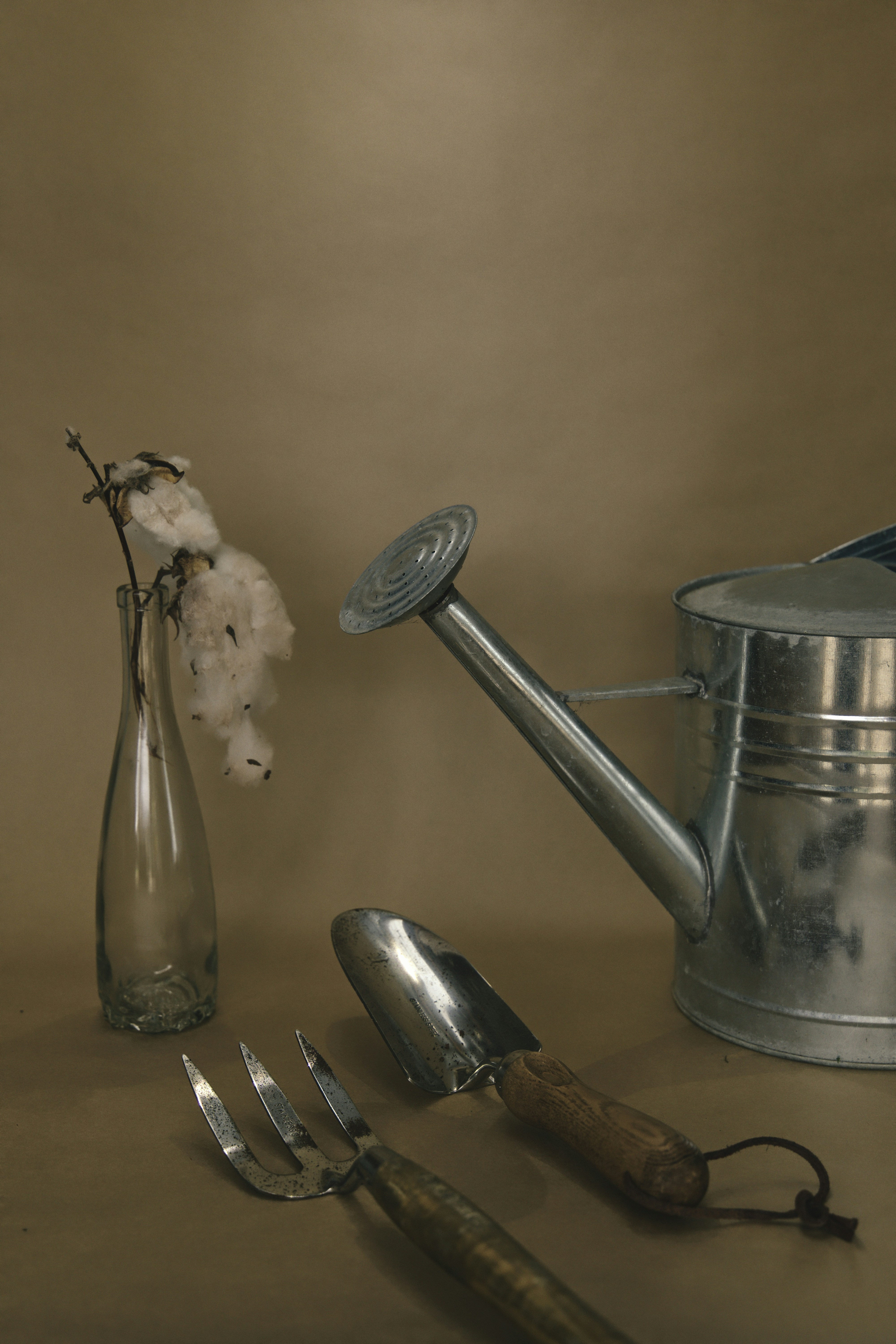 Creating a Pawsitive Environment: How to Prepare Your Home for a New Cavalier Puppy