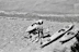Close-up of a sturdy expedition kayak loaded with gear on a rocky shore.