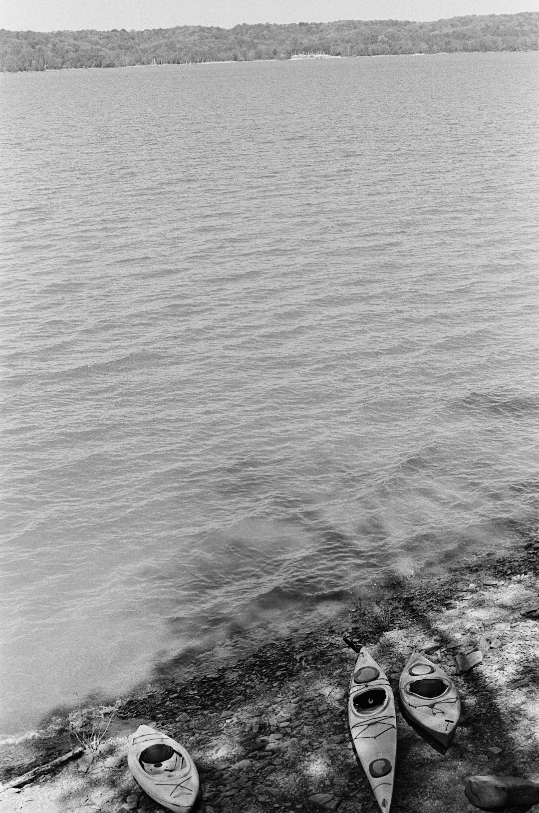 grayscale photo of body of water