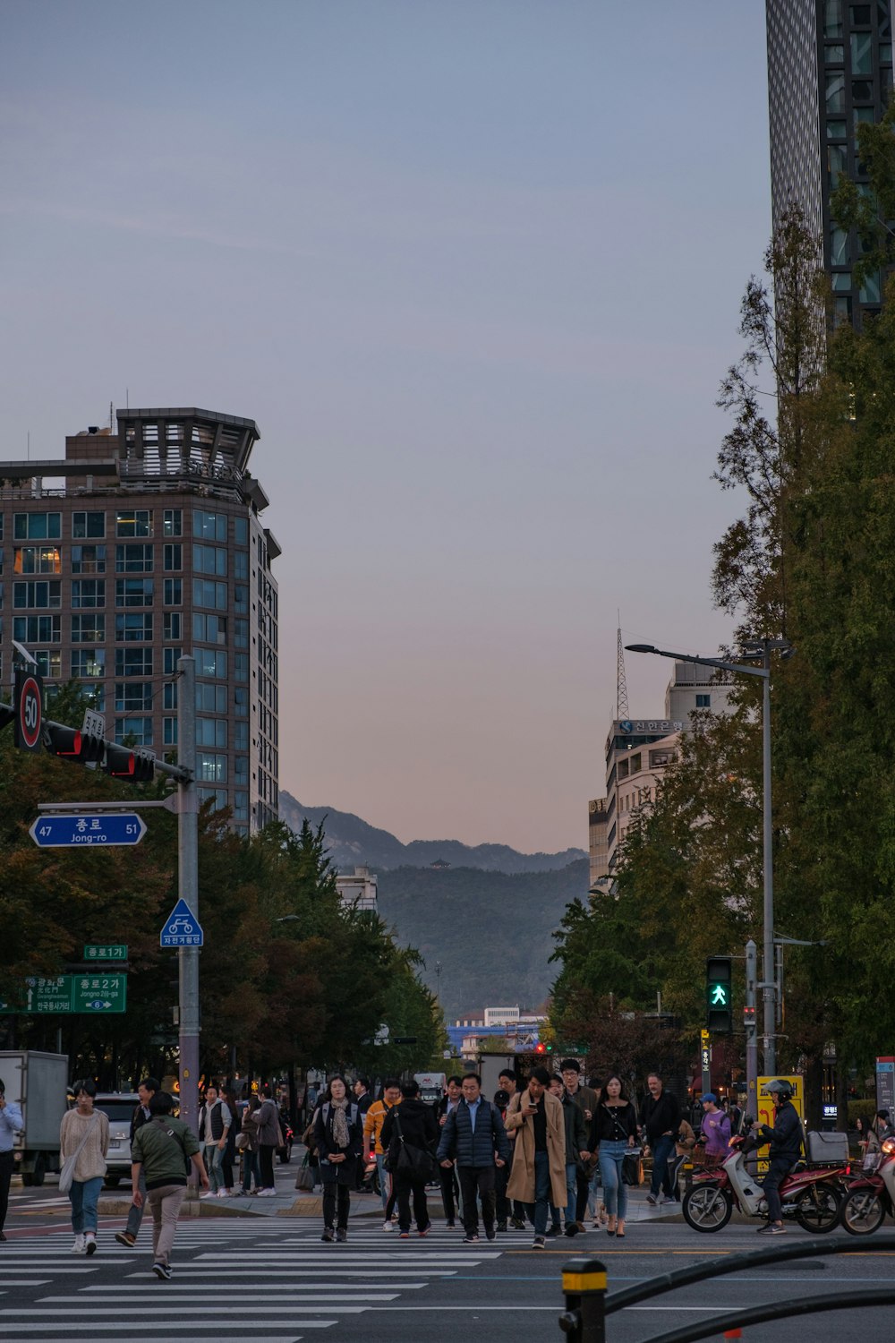 people walking on street during daytime