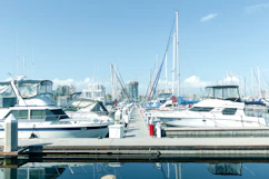 white and blue boats on dock during daytime