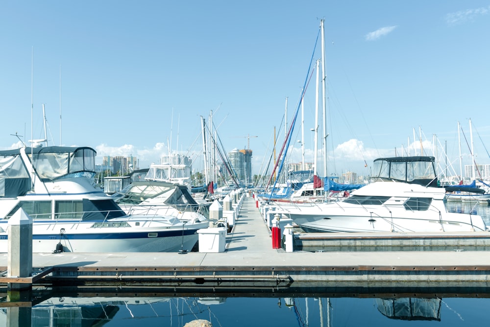 white and blue boats on dock during daytime