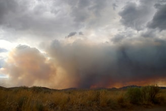 support California wildfire 