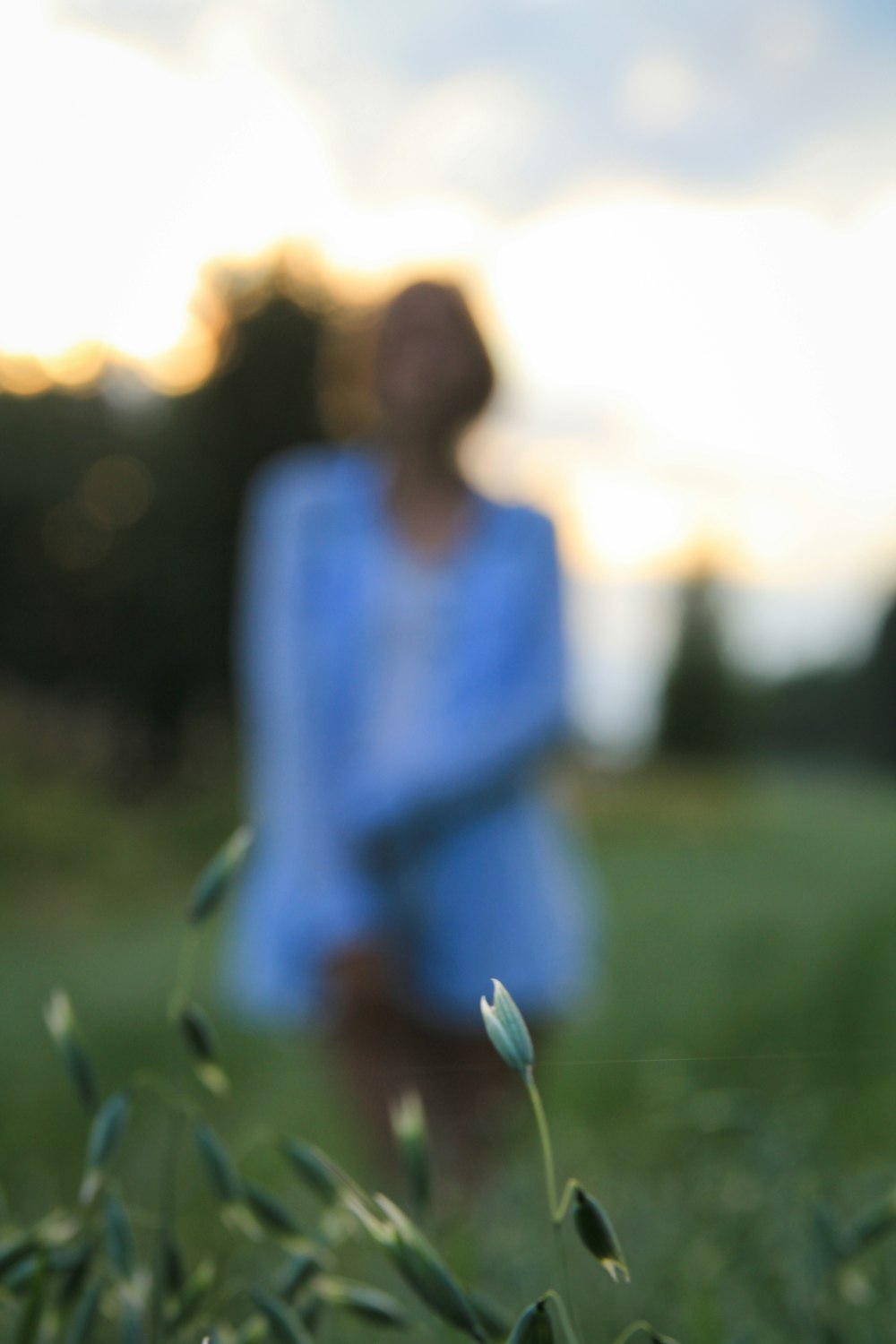Frau im blauen langärmeligen Kleid tagsüber auf grünem Rasen stehend