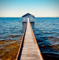 brown wooden dock on sea during daytime