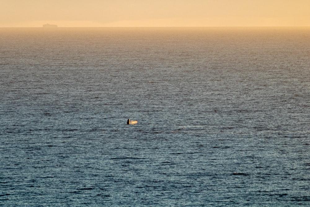 white boat on sea during daytime