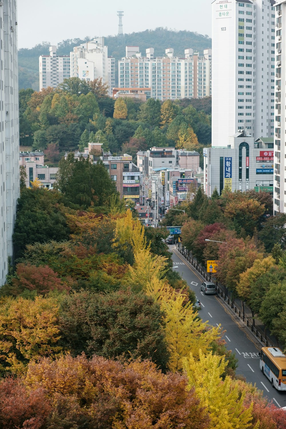 green trees near city buildings during daytime