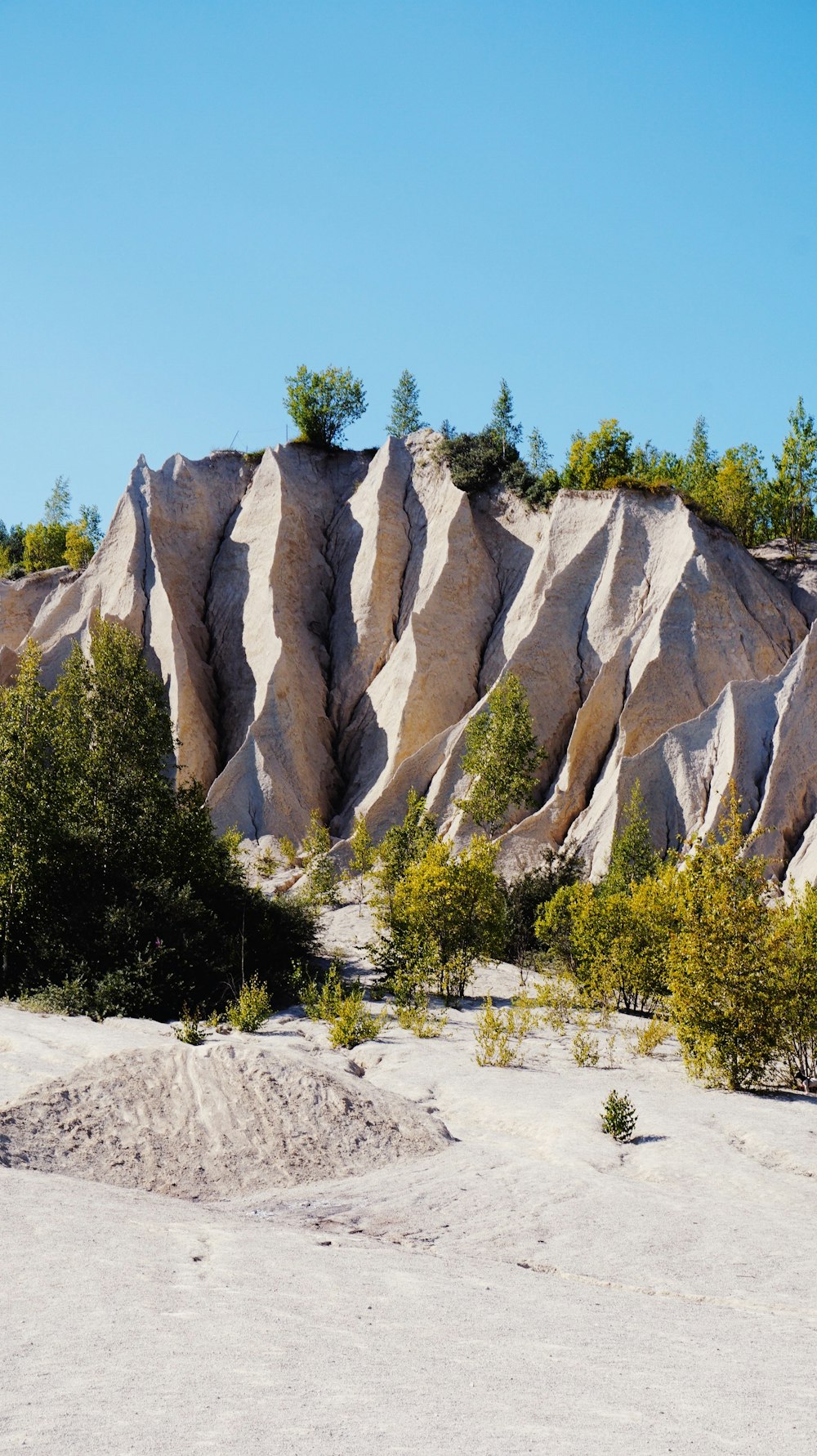 Árboles verdes cerca de Brown Rocky Mountain durante el día