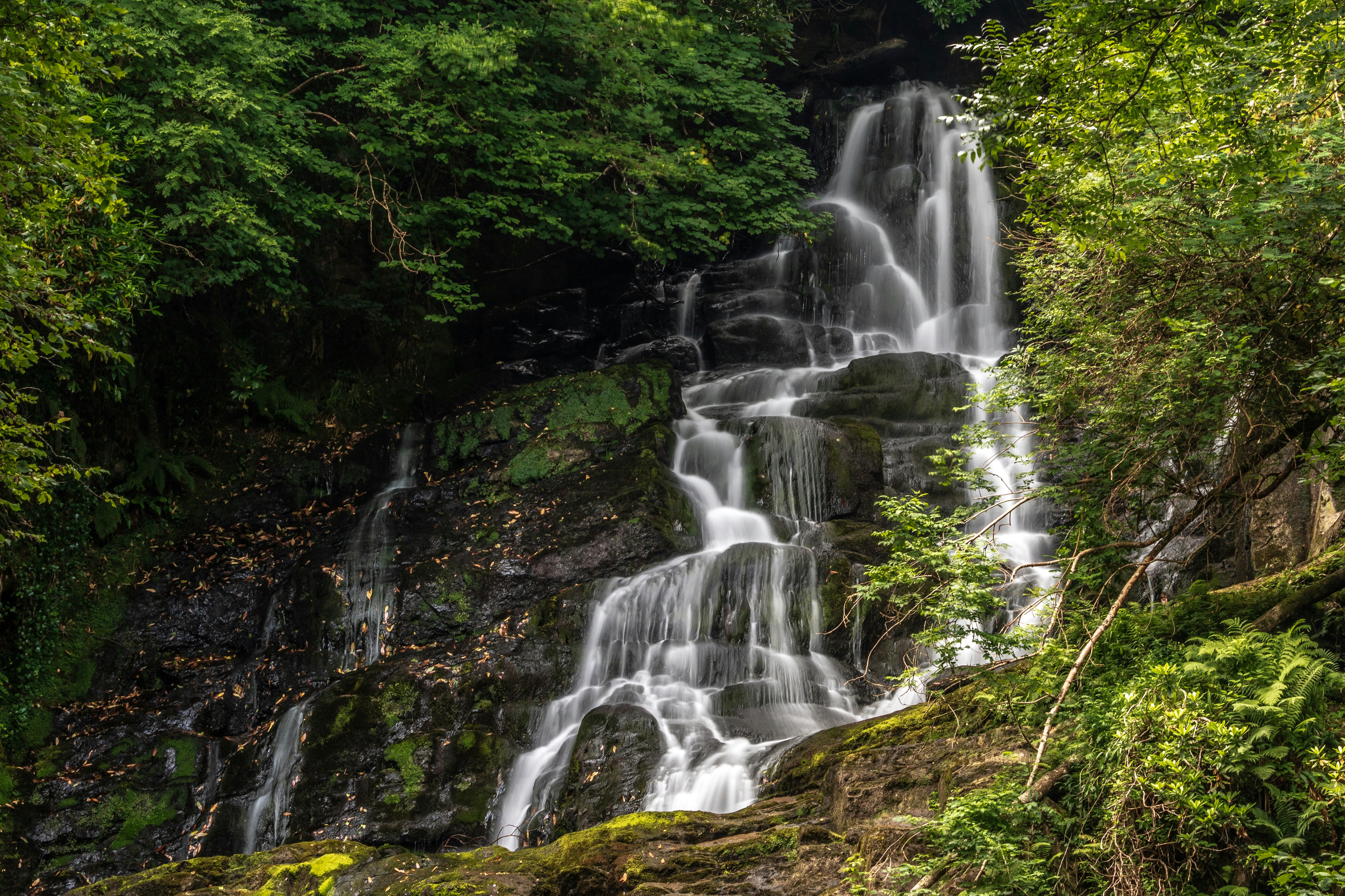 waterfalls in the middle of the forest