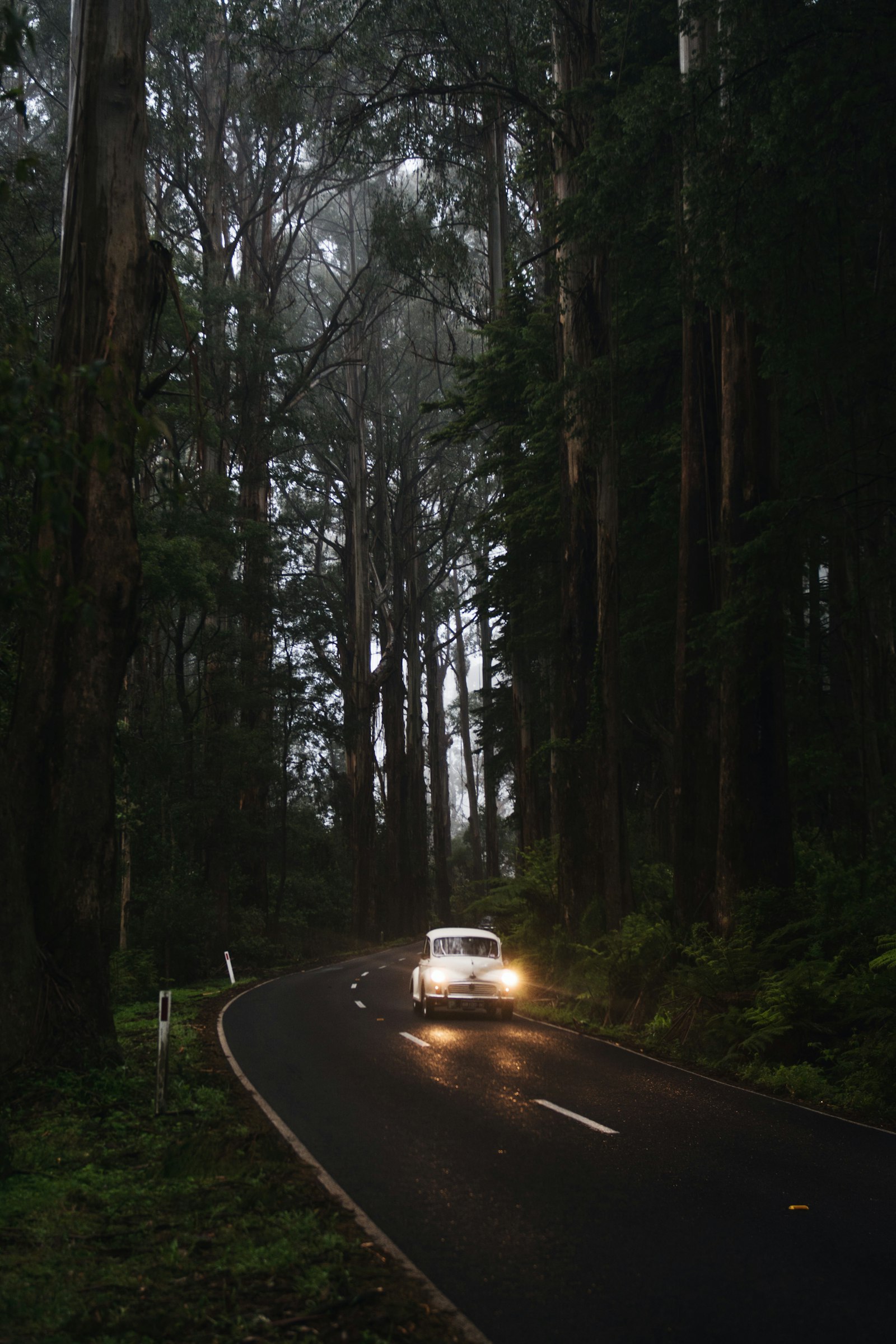 Nikon D7100 + Nikon AF-S Nikkor 24-70mm F2.8G ED sample photo. White car on road photography