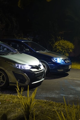 Two cars are parked in a dimly lit outdoor area, illuminated by streetlights. The vehicle on the left is silver with sleek, modern headlights, while the car on the right is blue with a glowing front light. There is foliage and grass around the vehicles, contributing to a natural setting.