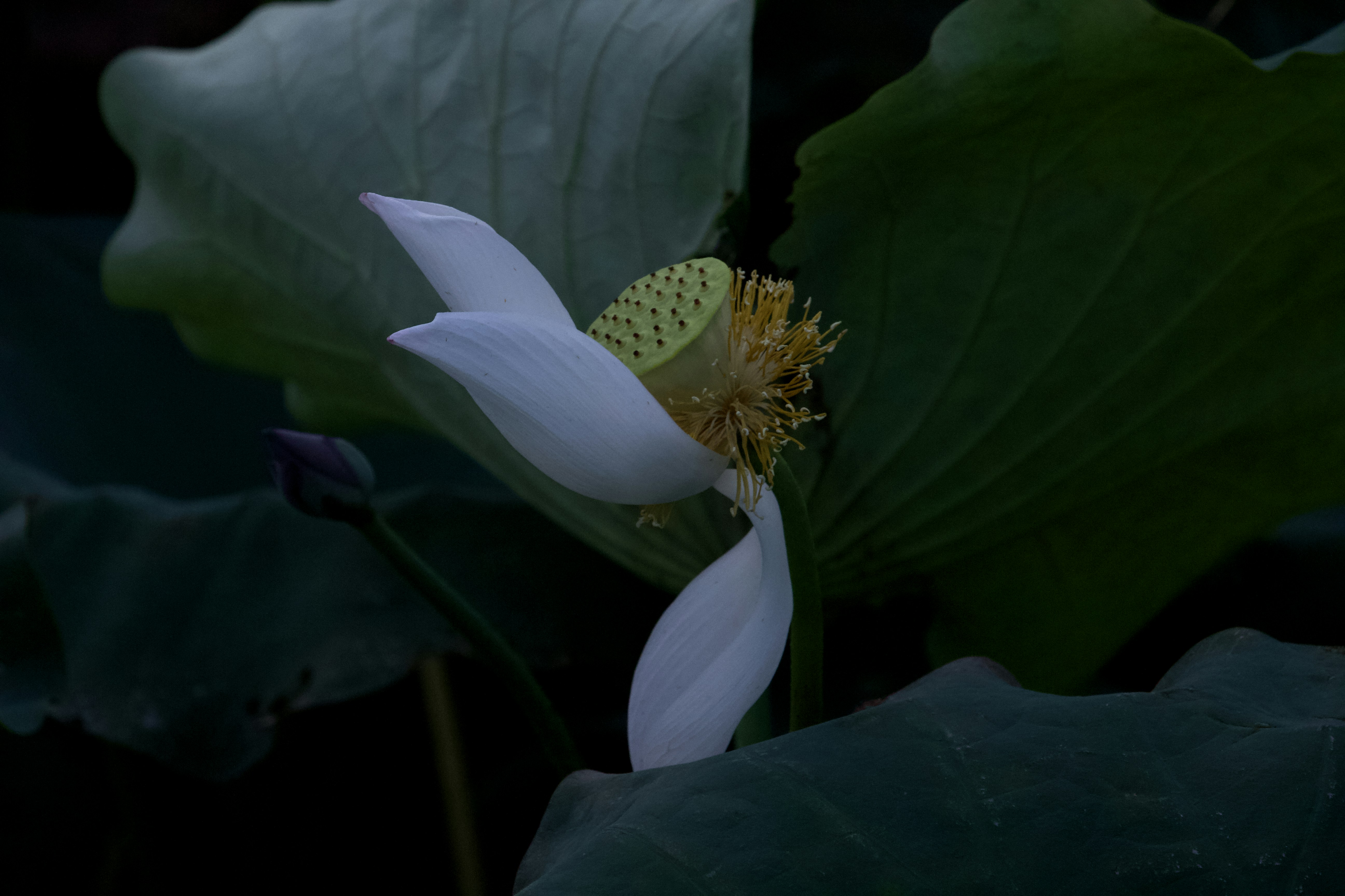 The 3 most sustainable hotels for your next trip to Taizhou