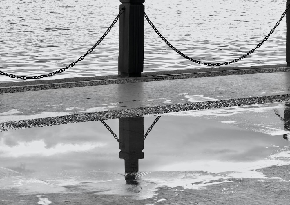 black and white rope on body of water