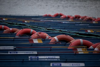 A series of aligned lifebuoys resting on blue boat decks, secured with green ropes. The lifebuoys are uniformly red with white stripes, creating a repetitive pattern against the muted water background.