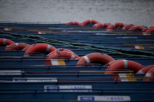 A series of aligned lifebuoys resting on blue boat decks, secured with green ropes. The lifebuoys are uniformly red with white stripes, creating a repetitive pattern against the muted water background.