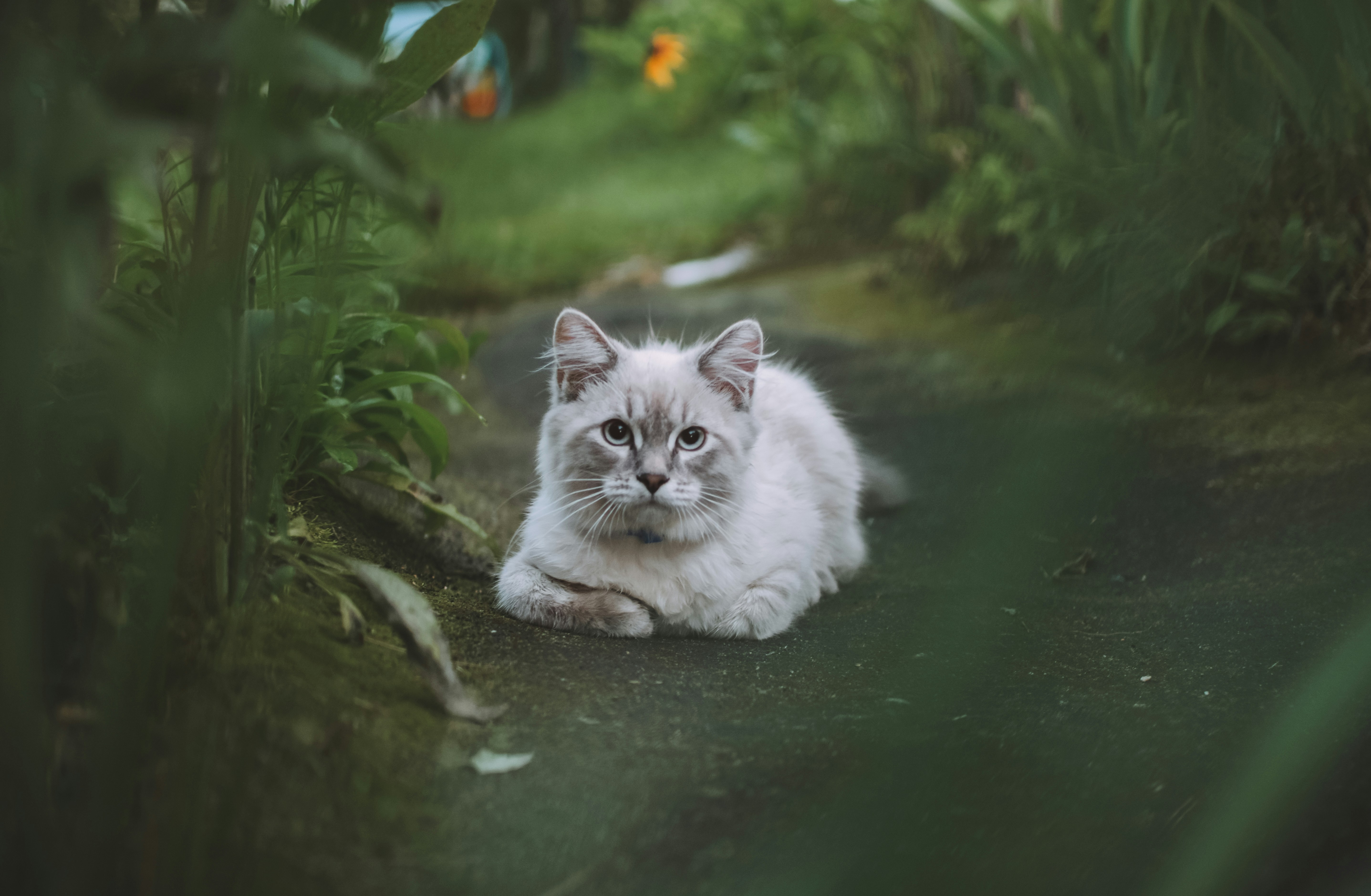 Photo by maxim_mushnikov