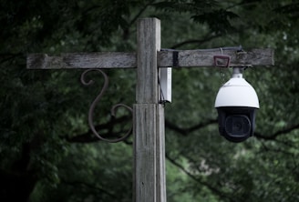 white and black lamp on brown wooden post