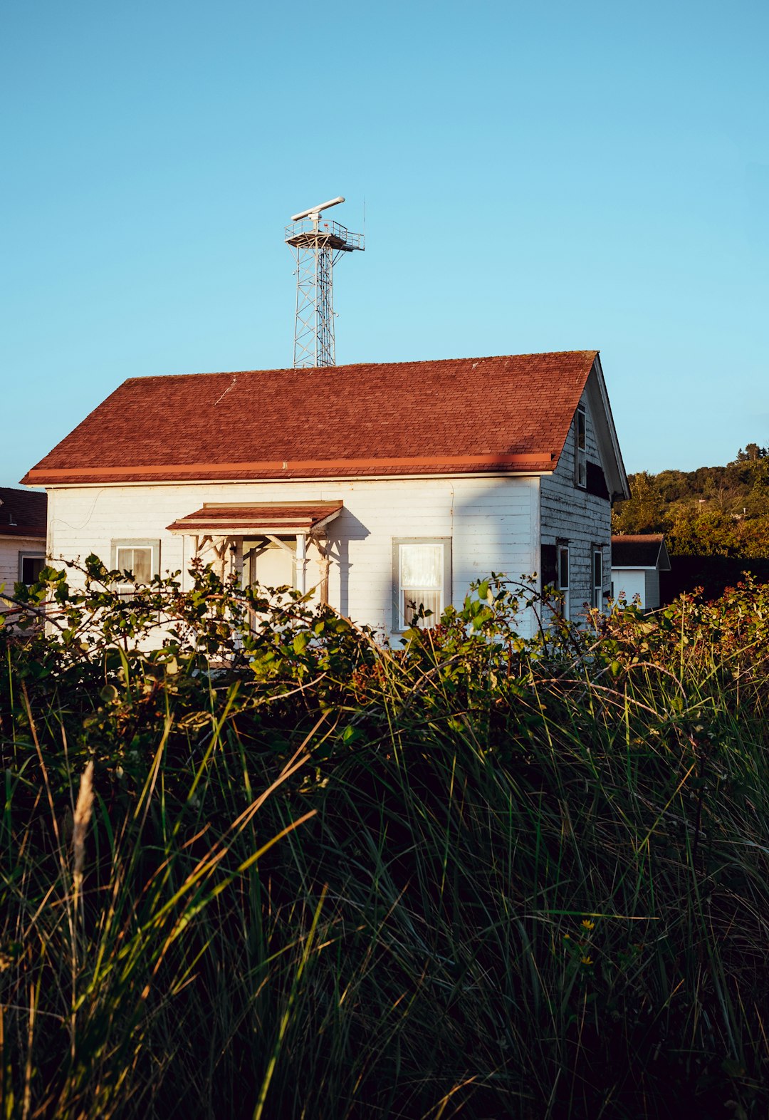 white and brown house surrounded by green plants under blue sky during daytime