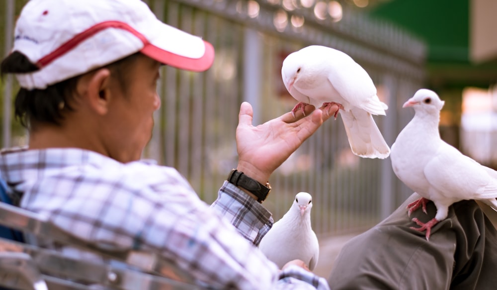 hombre en camisa de vestir a cuadros blancos y negros sosteniendo un pájaro blanco