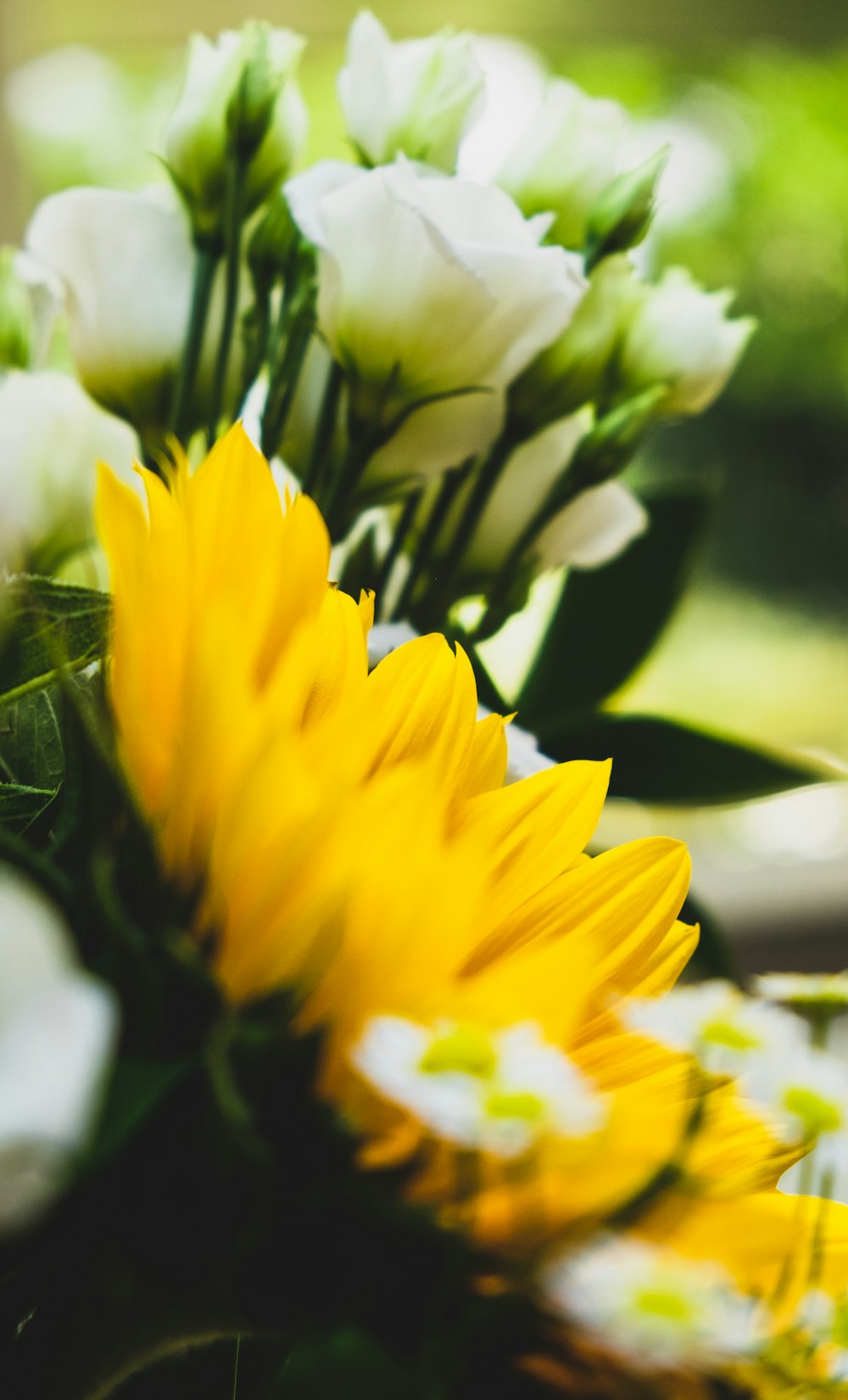 yellow flower in tilt shift lens