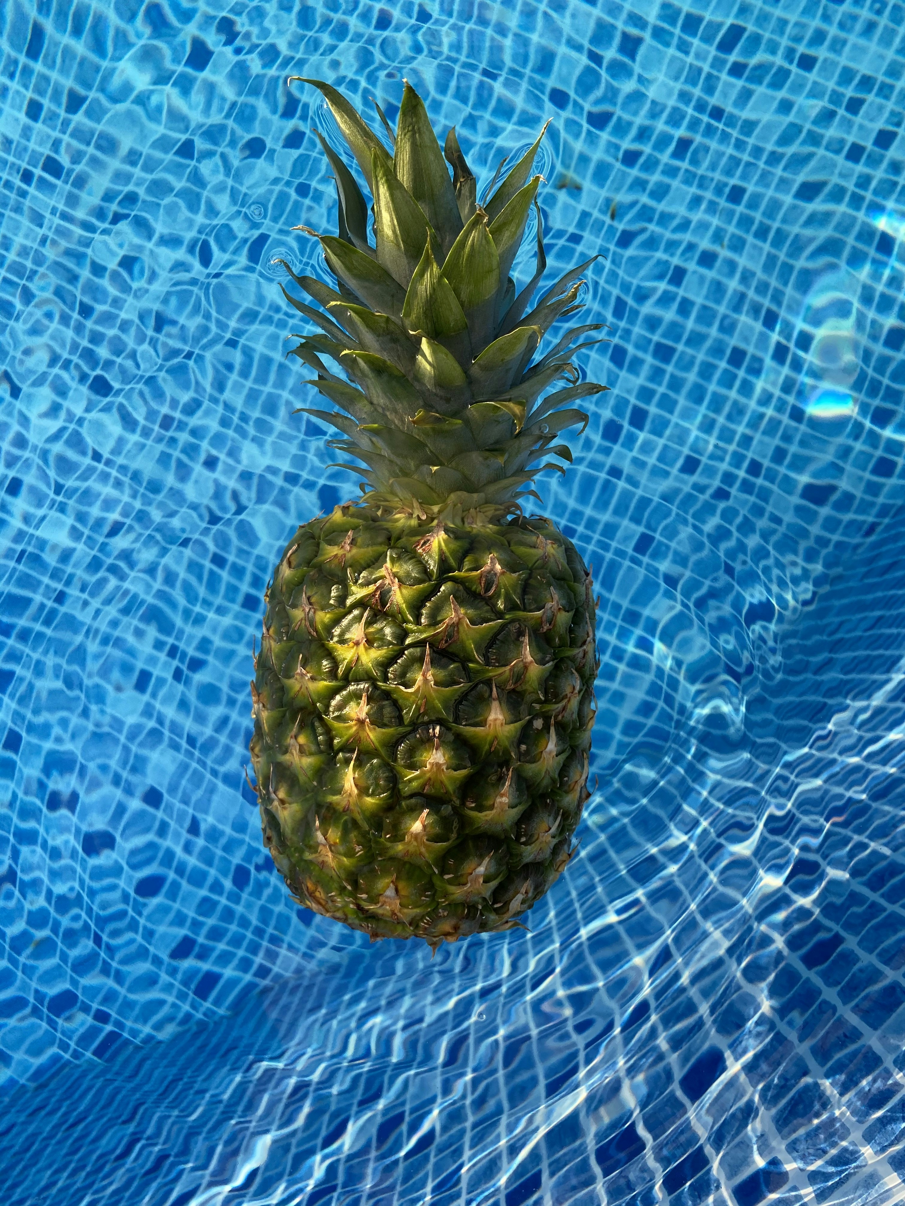 pineapple on water during daytime