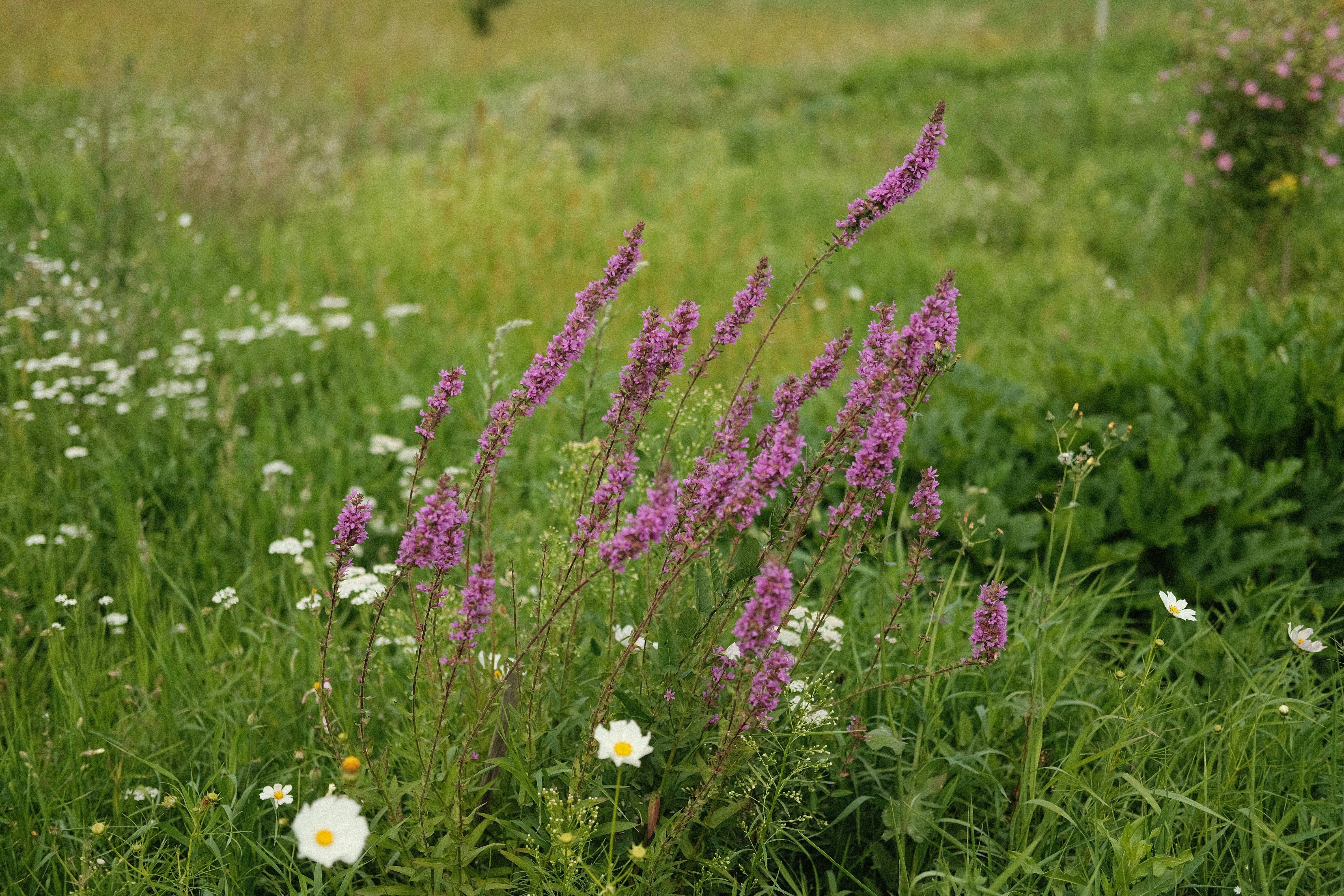 Photo by pavelhomenko