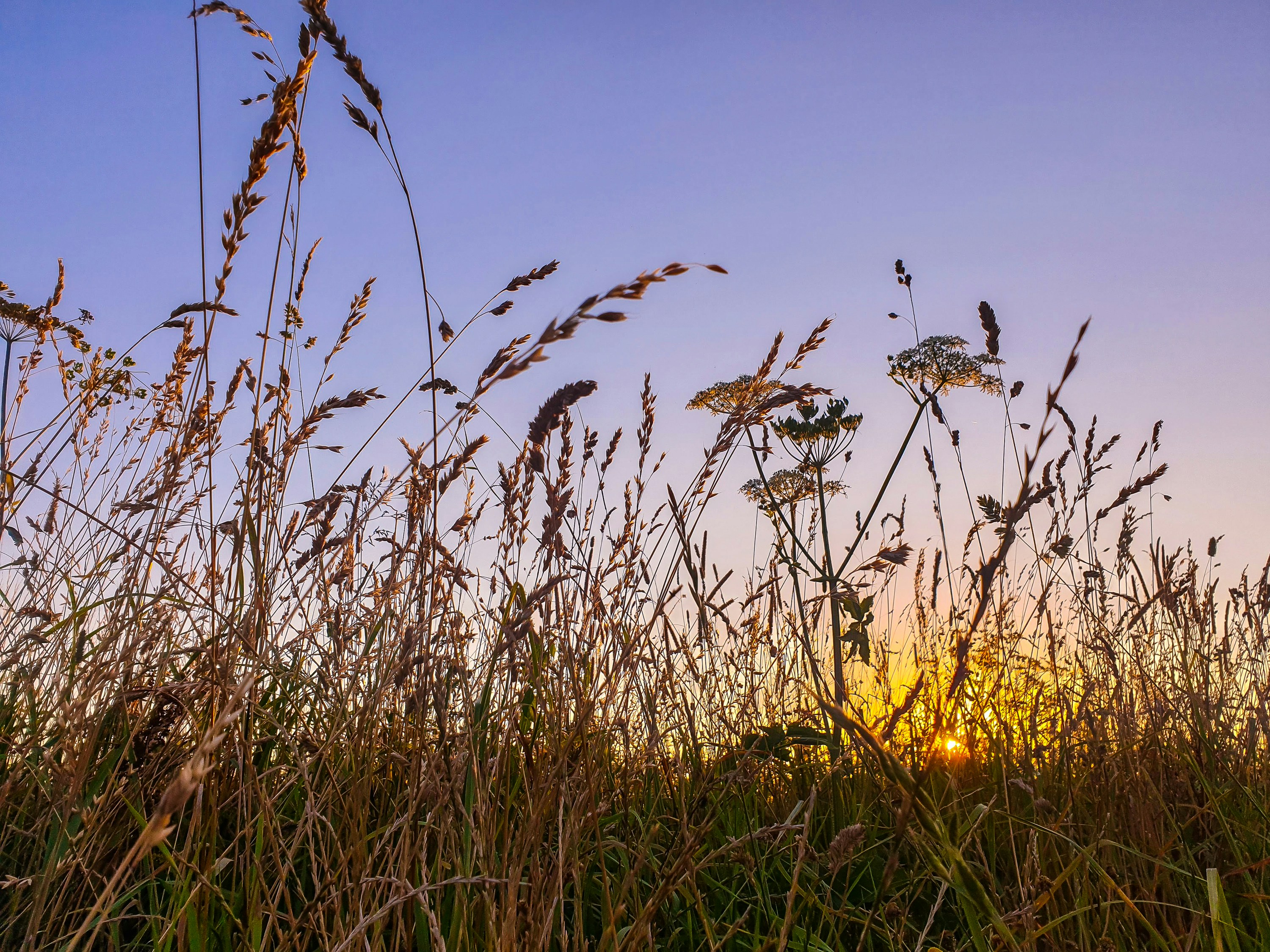 Photo by joranquinten