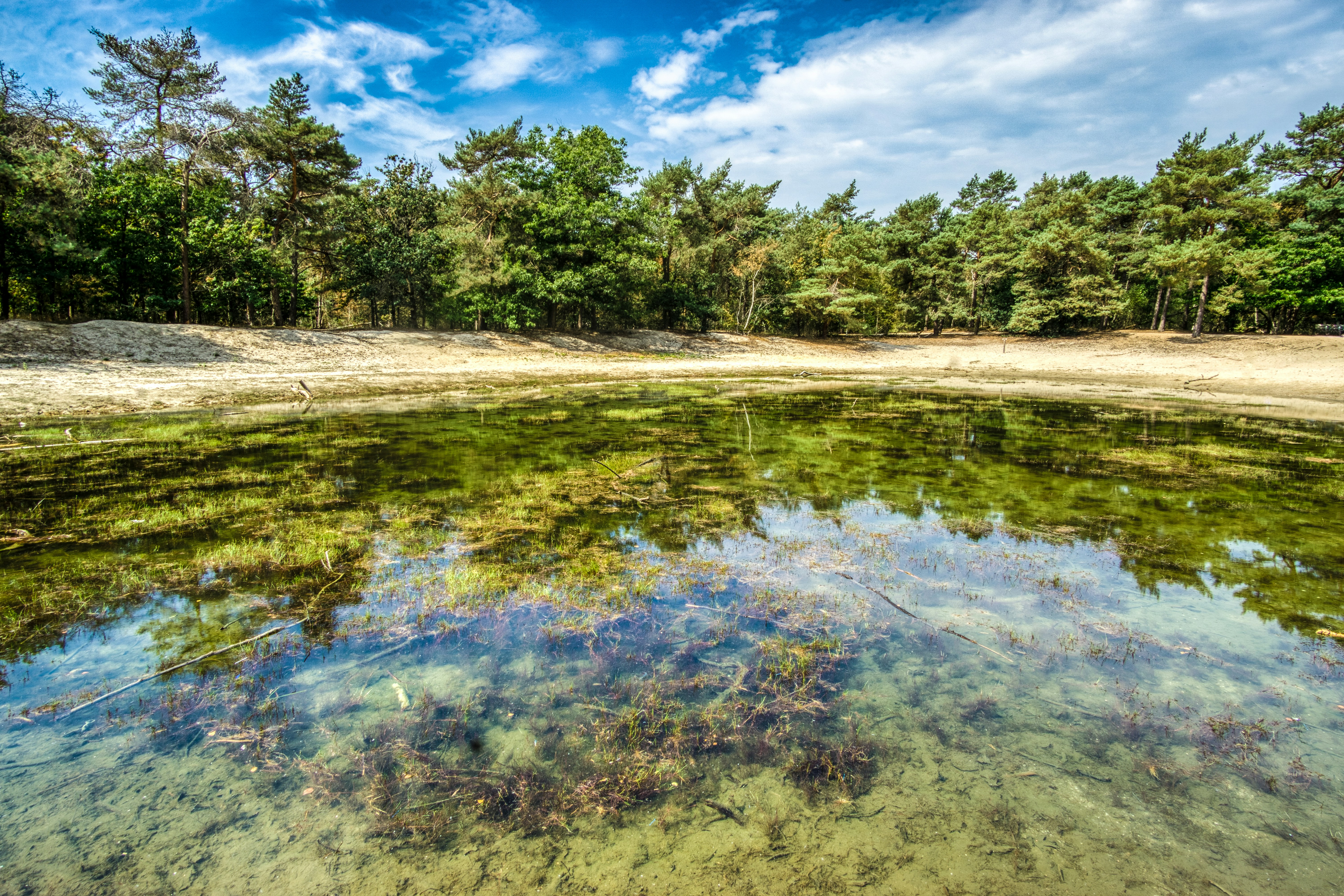 Afbeelding van Schaijk
