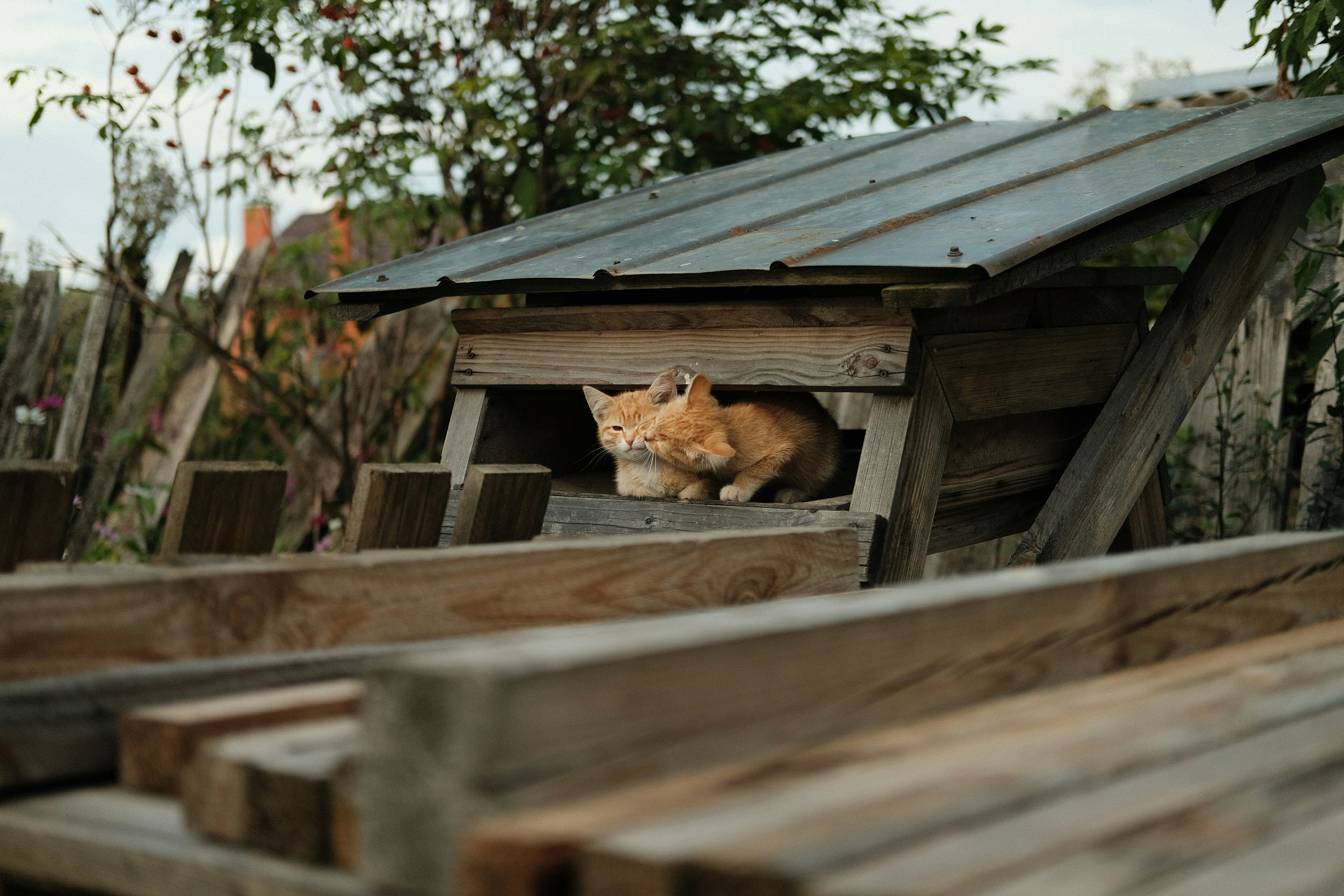 Photo by pavelhomenko