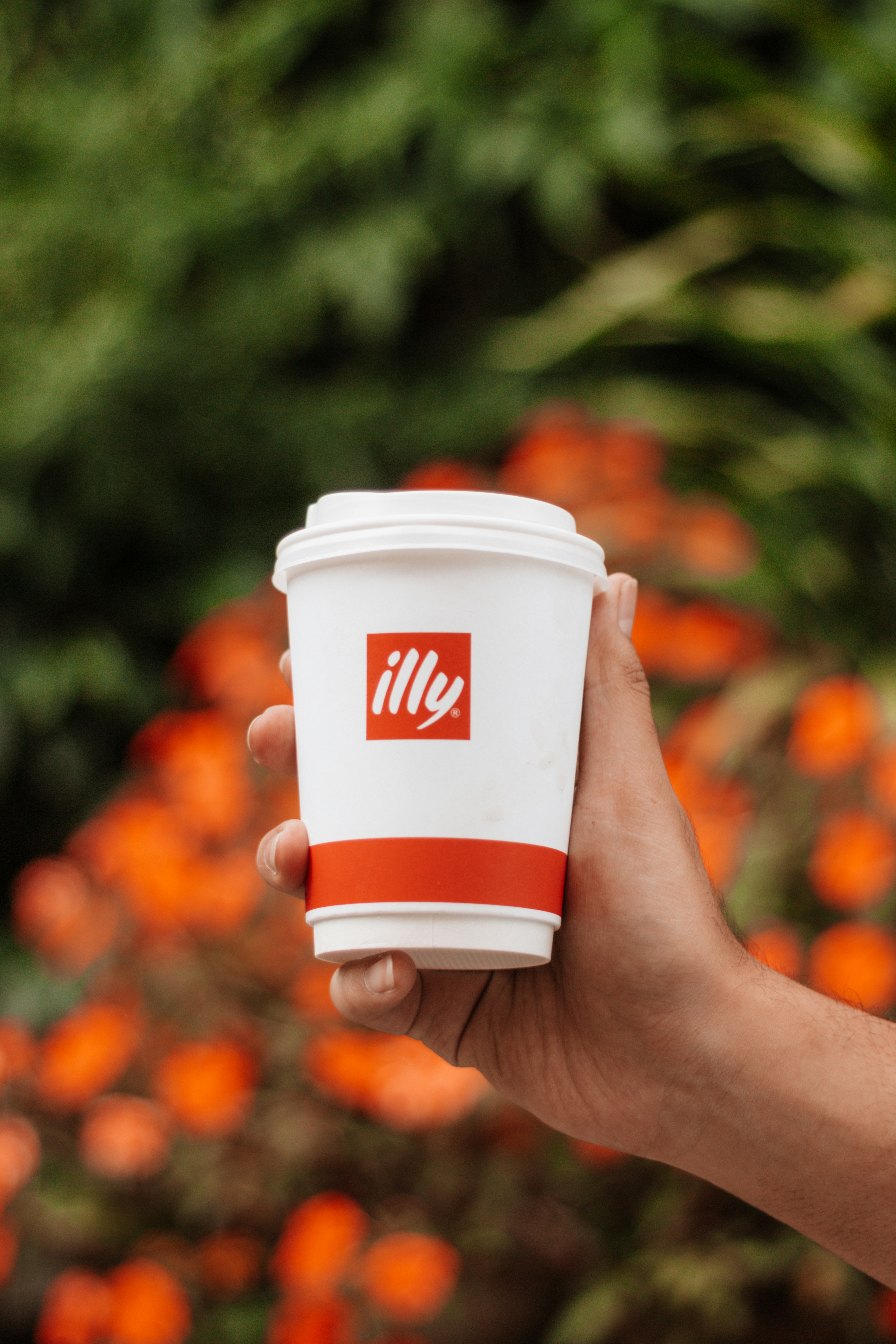 weißer und roter Einwegbecher