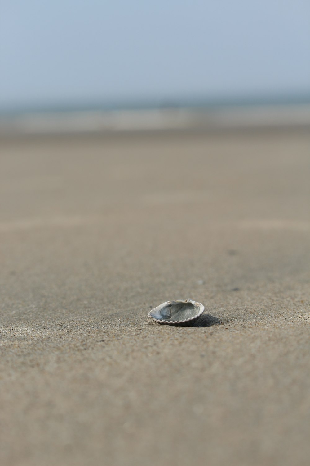 white and gray stone on brown sand