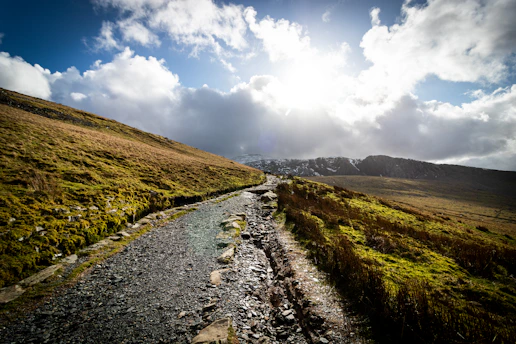 green grass field under blue sky during daytime
