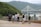 A group of travelers enjoying a scenic view at Chardham.