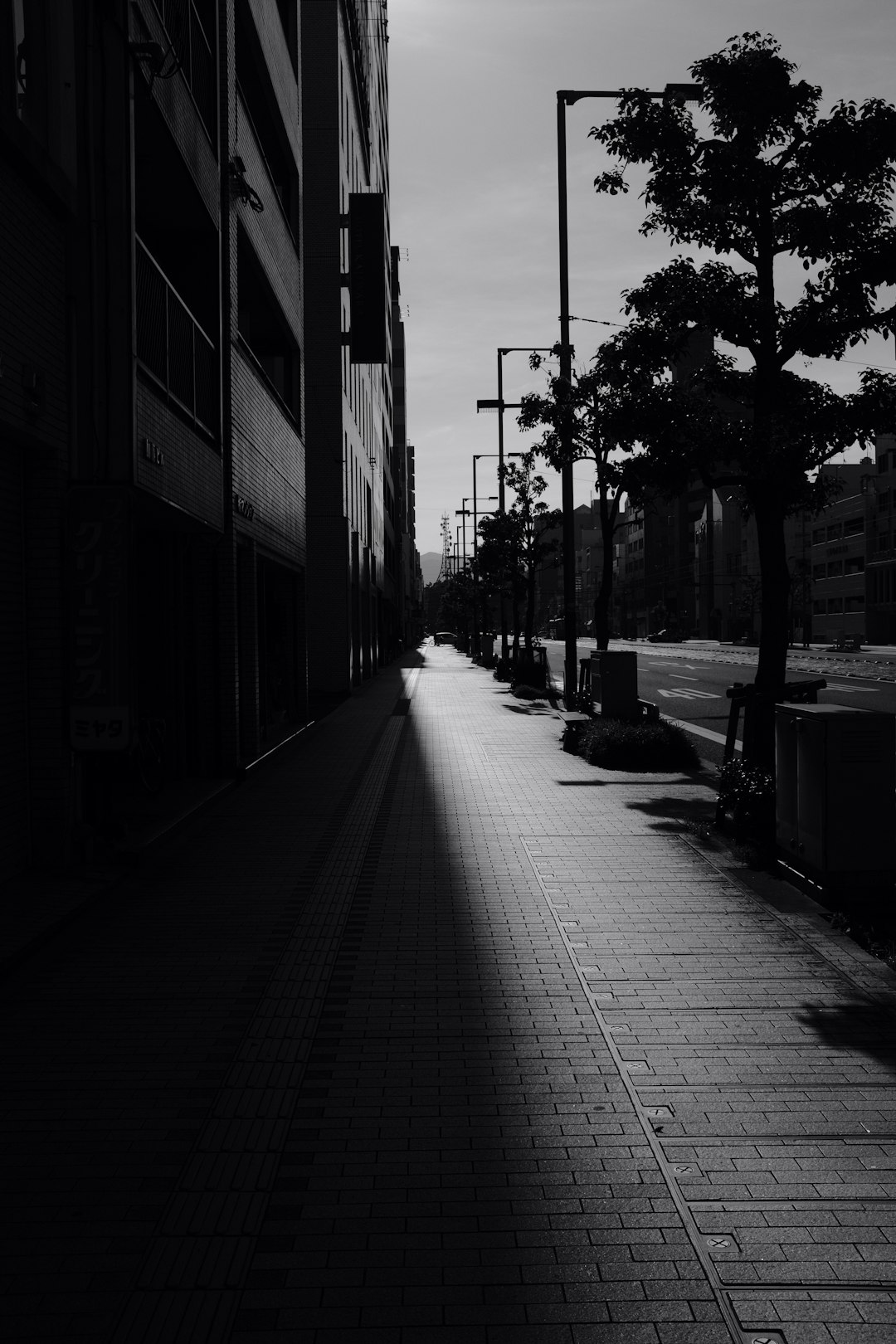 grayscale photo of trees near building